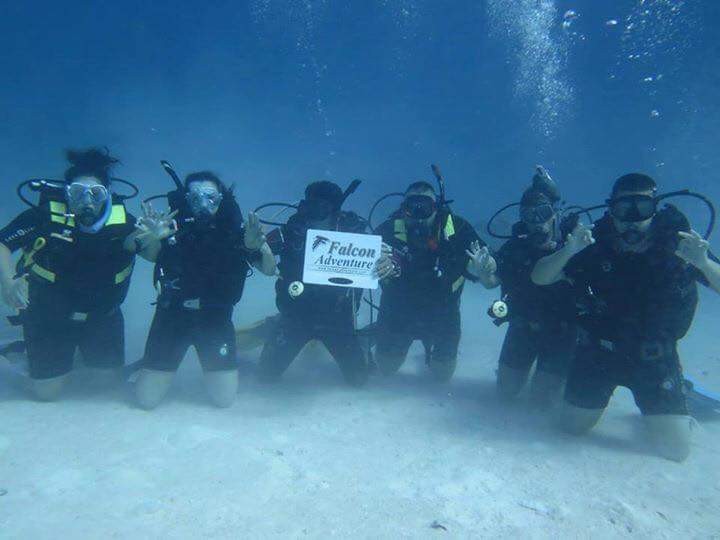 snorkeling trips in sharm el sheikh, Snorkeling in Tiran
